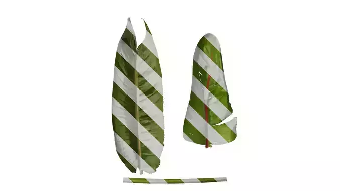 Anydrafts Strelitzia reginae Leaf 05