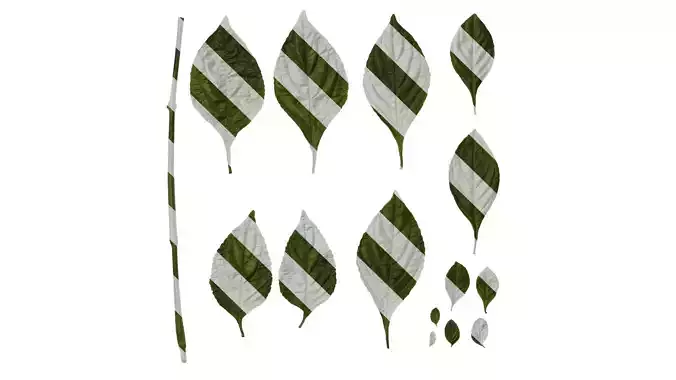 Anydrafts Strobilanthes cusia Leaf 01