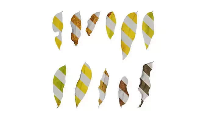 Anydrafts Sapindus mukorossi Leaf 03