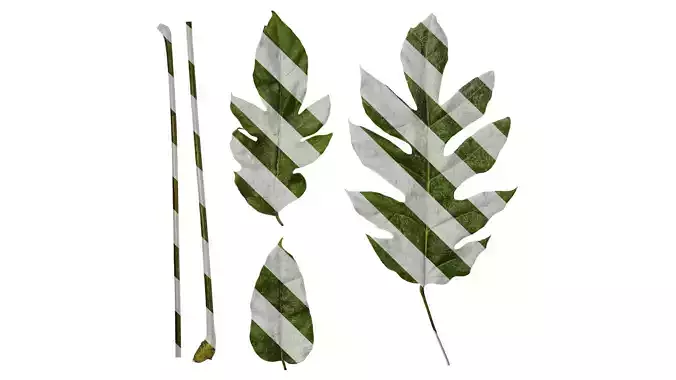 Anydrafts Schefflera delavayi Leaf 02