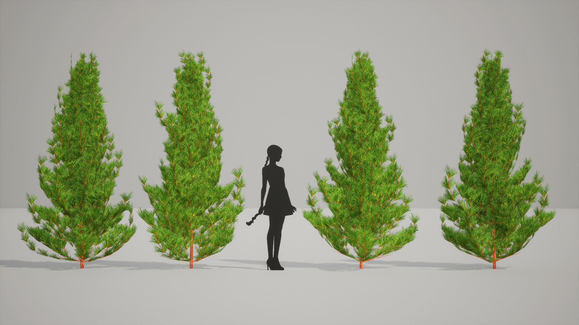 Japanese Endemic Species Plant - 4 Japanese Umbrella pine Tree Low-poly 3D model_4