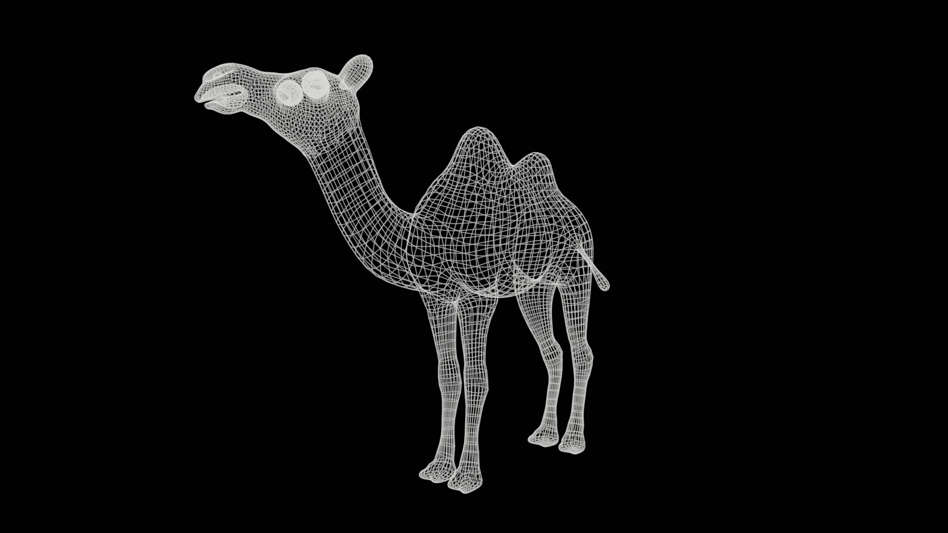 camel  rig  high-poly  textured 3d model 3D model_19
