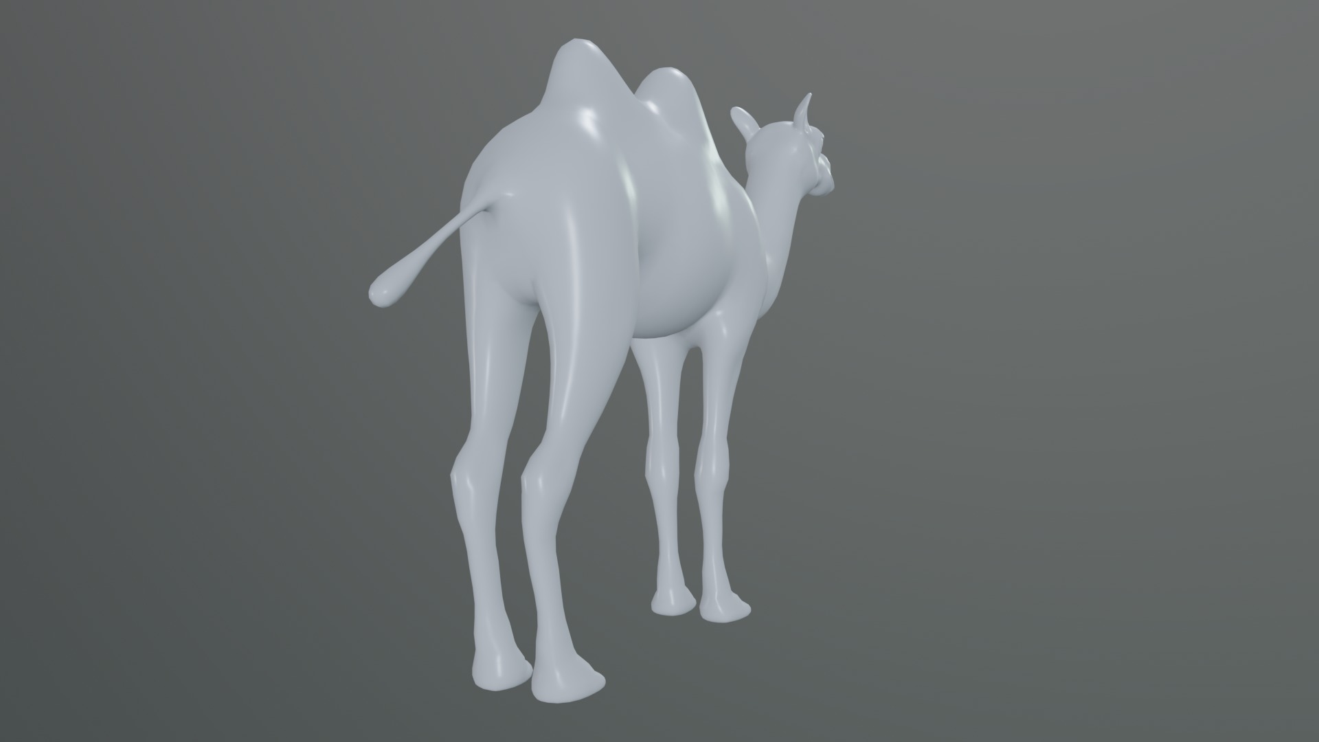 camel  rig  high-poly  textured 3d model 3D model_14