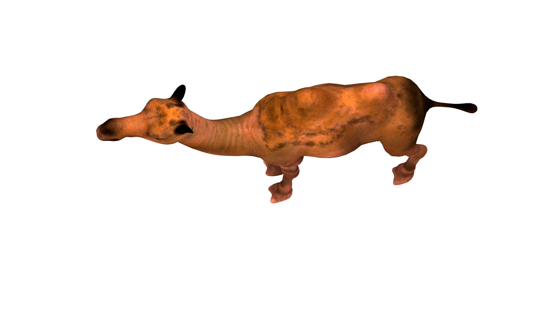 camel  rig  high-poly  textured 3d model 3D model_8