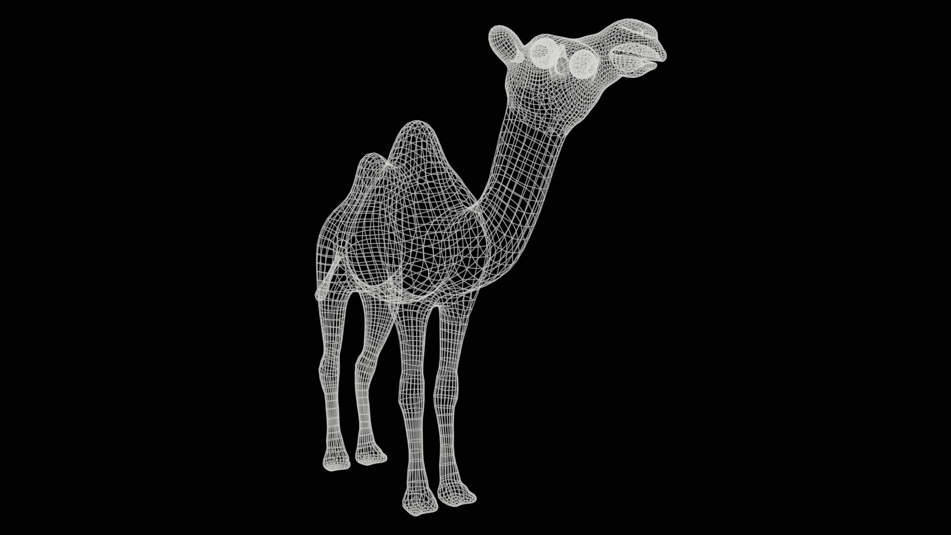 camel  rig  high-poly  textured 3d model 3D model_18