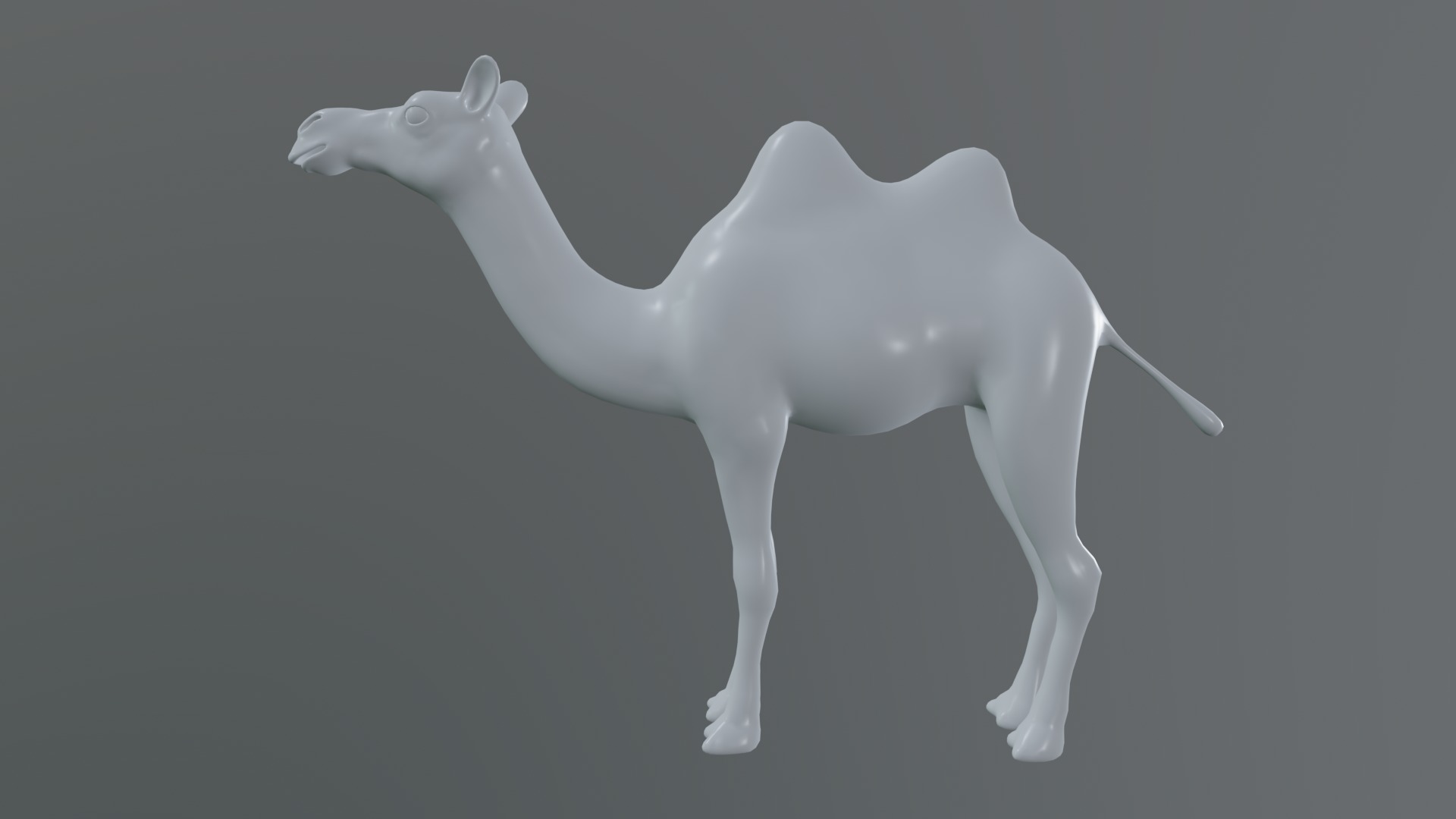 camel  rig  high-poly  textured 3d model 3D model_13