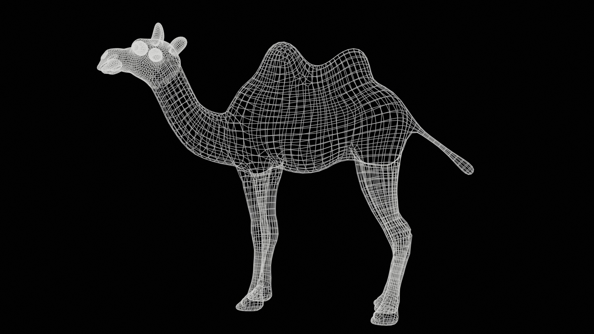 camel  rig  high-poly  textured 3d model 3D model_20