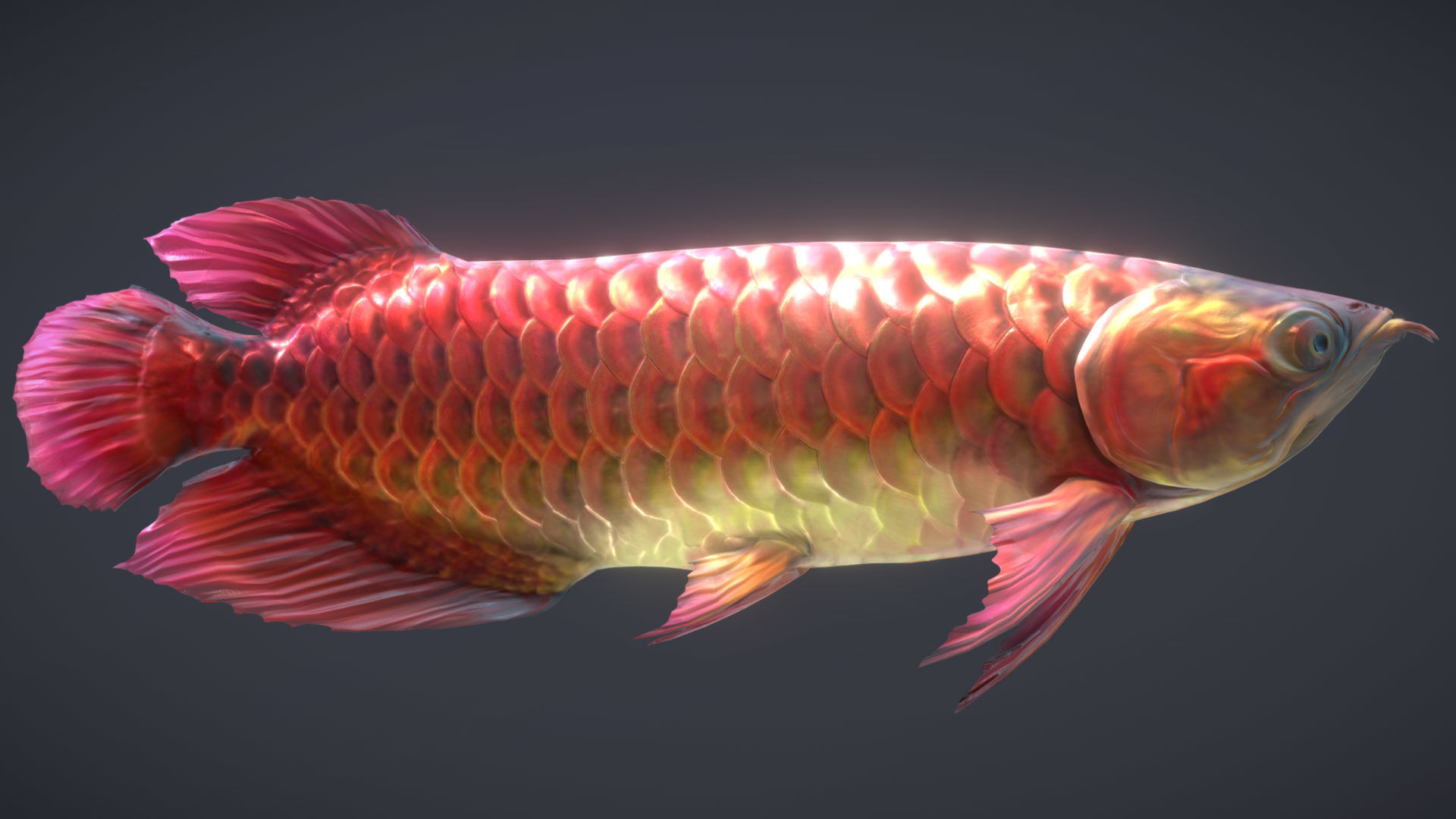 Asian Arowana Red 3D model_2