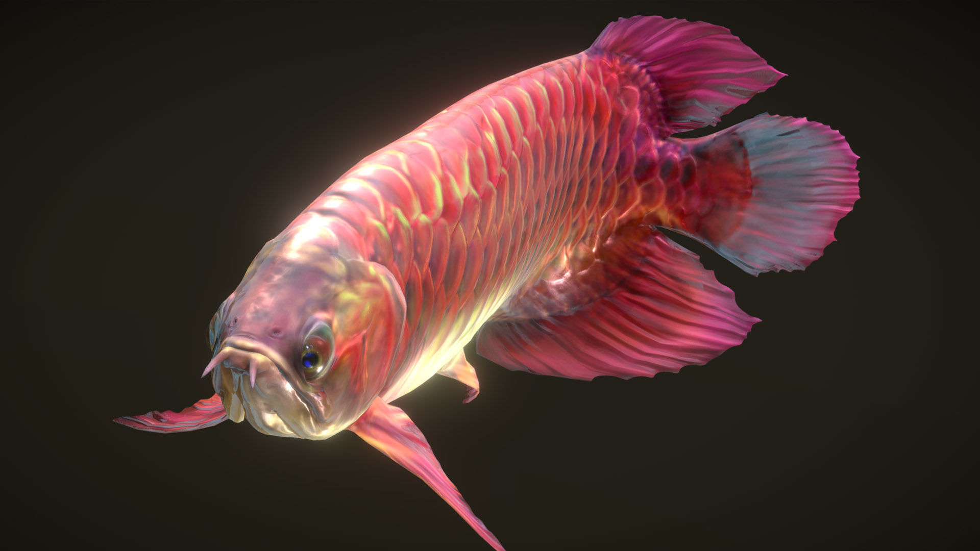Asian Arowana Red 3D model_5