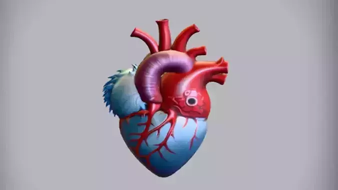 stylized human heart