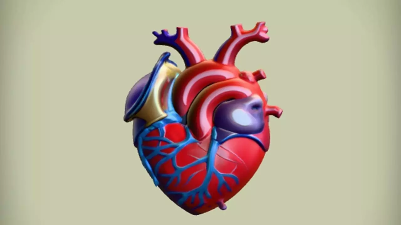 anatomical human heart illustration 3D model_0