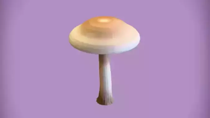 A standing realistic mushroom