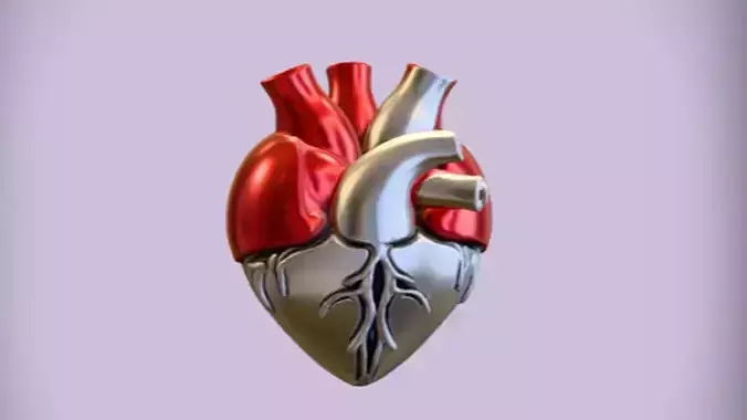 metallic human heart sculpture