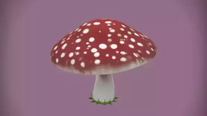 A large red and white mushroom