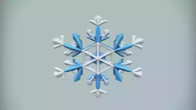 geometric snowflake design