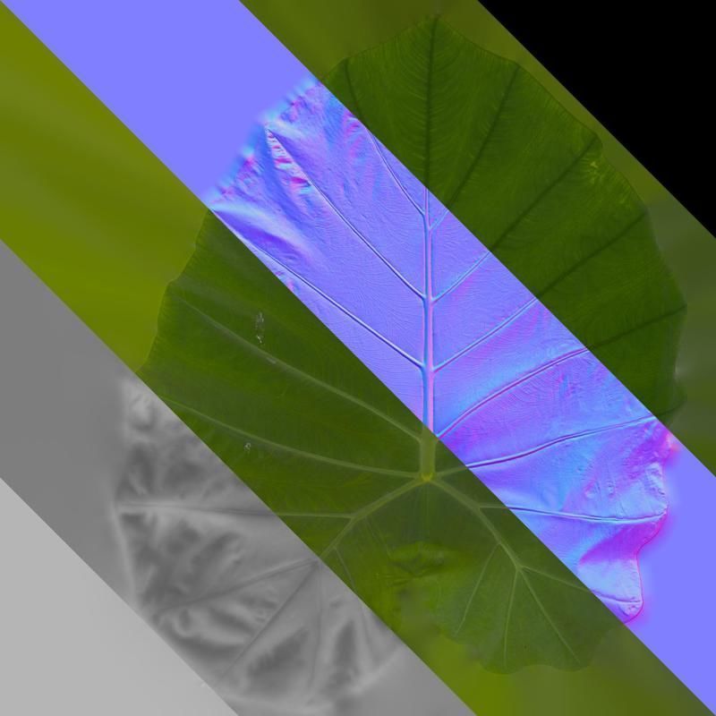 Anydrafts Colocasia gigantea Leaf 16 Texture_8