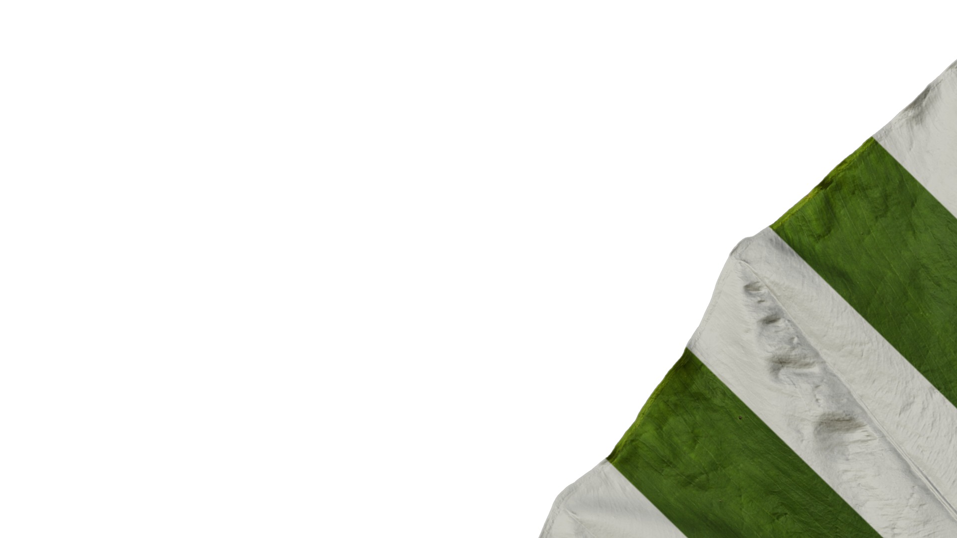 Anydrafts Colocasia gigantea Leaf 16 Texture_1