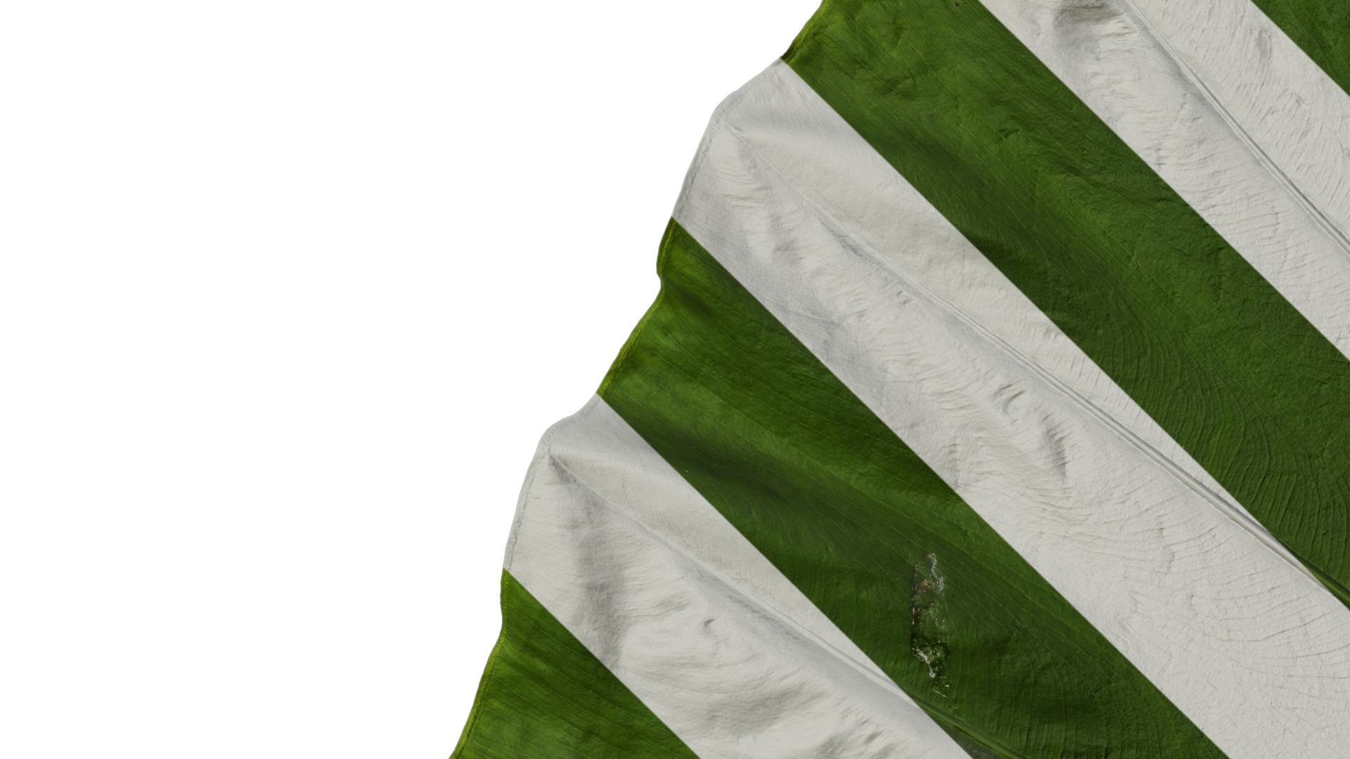 Anydrafts Colocasia gigantea Leaf 16 Texture_3