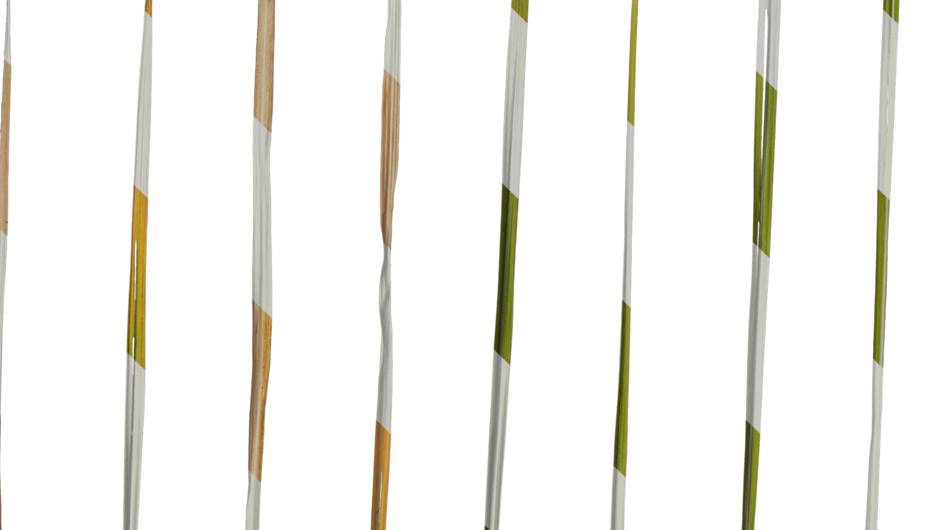 Anydrafts Imperata cylindrica Leaf 24 Texture_3