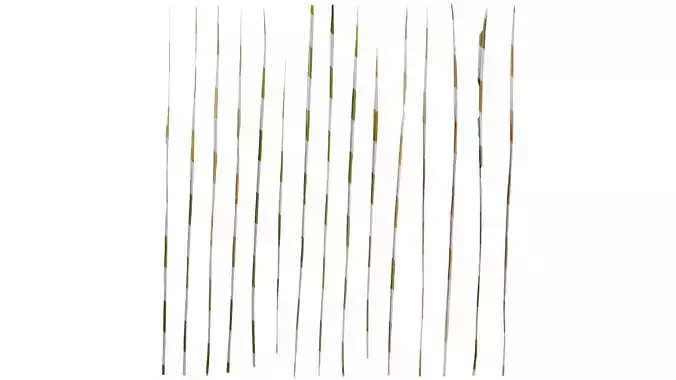 Anydrafts Imperata cylindrica Leaf 24