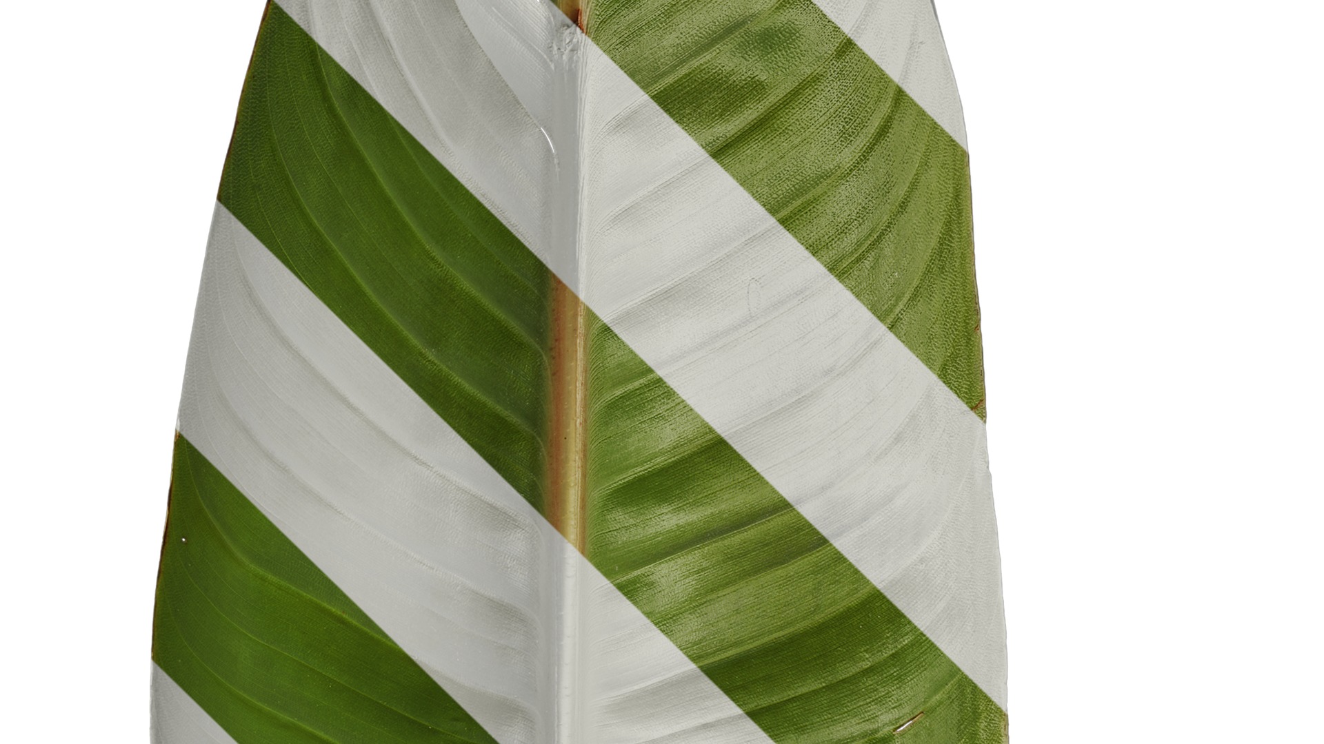 Anydrafts Strelitzia reginae Leaf 04 F Texture_4