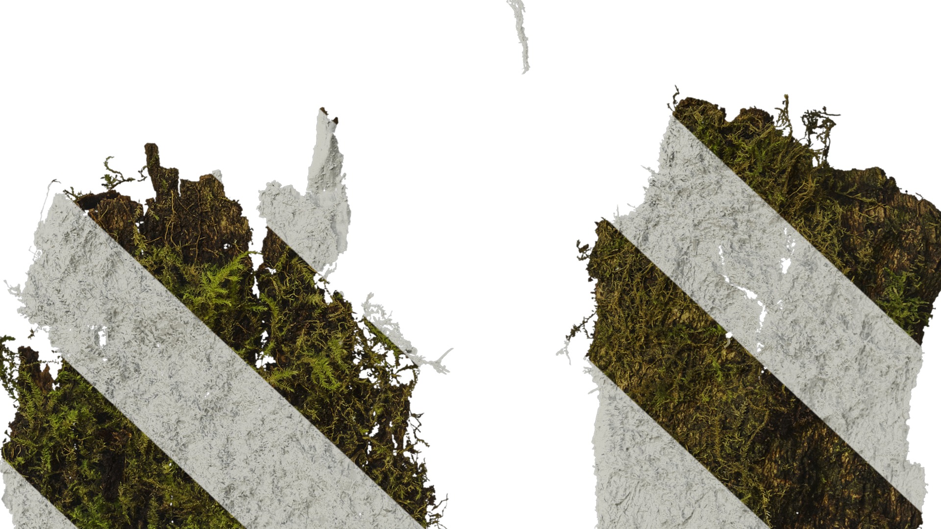 Anydrafts Bark 06 Texture_6