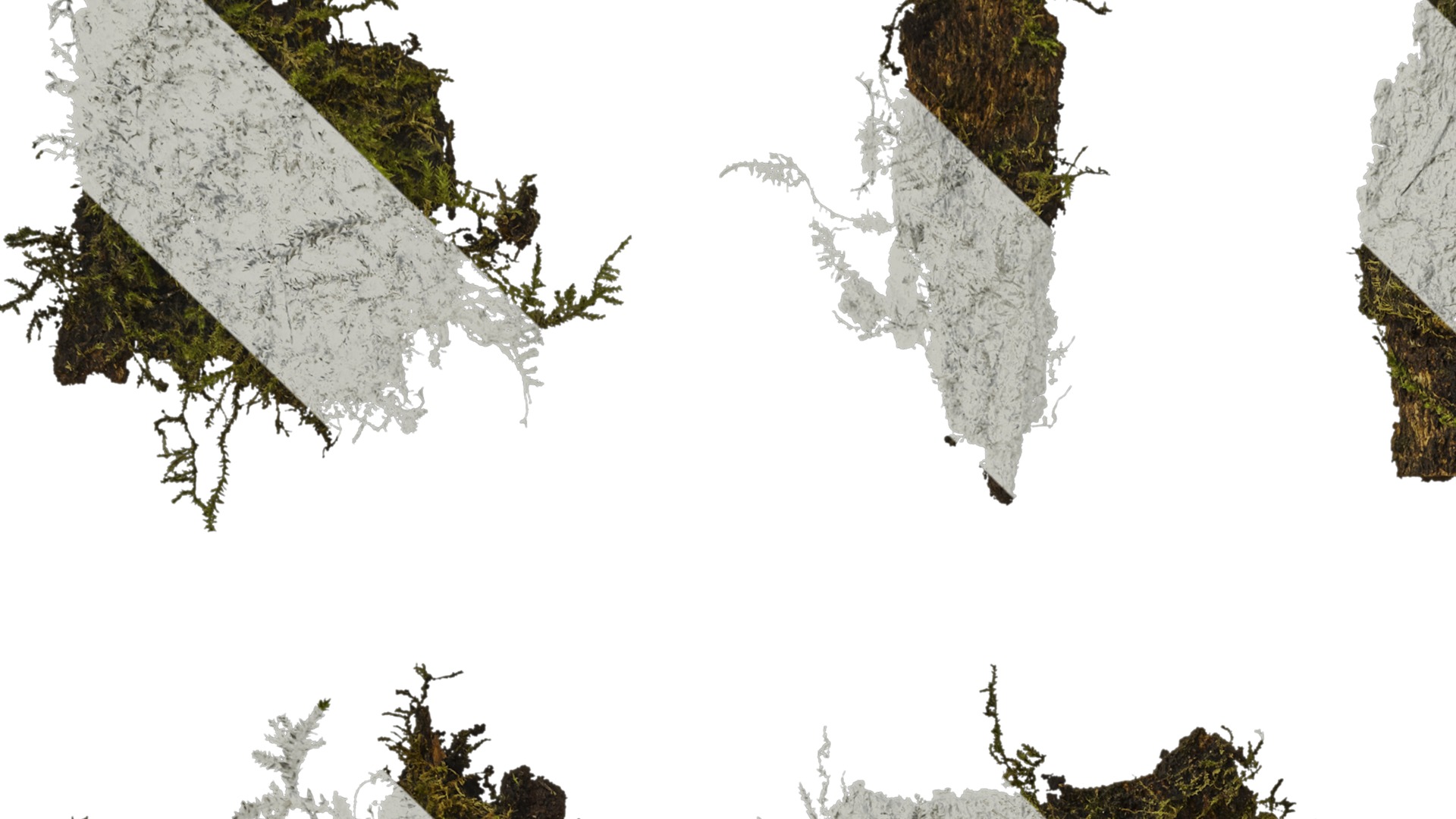 Anydrafts Bark 06 Texture_1