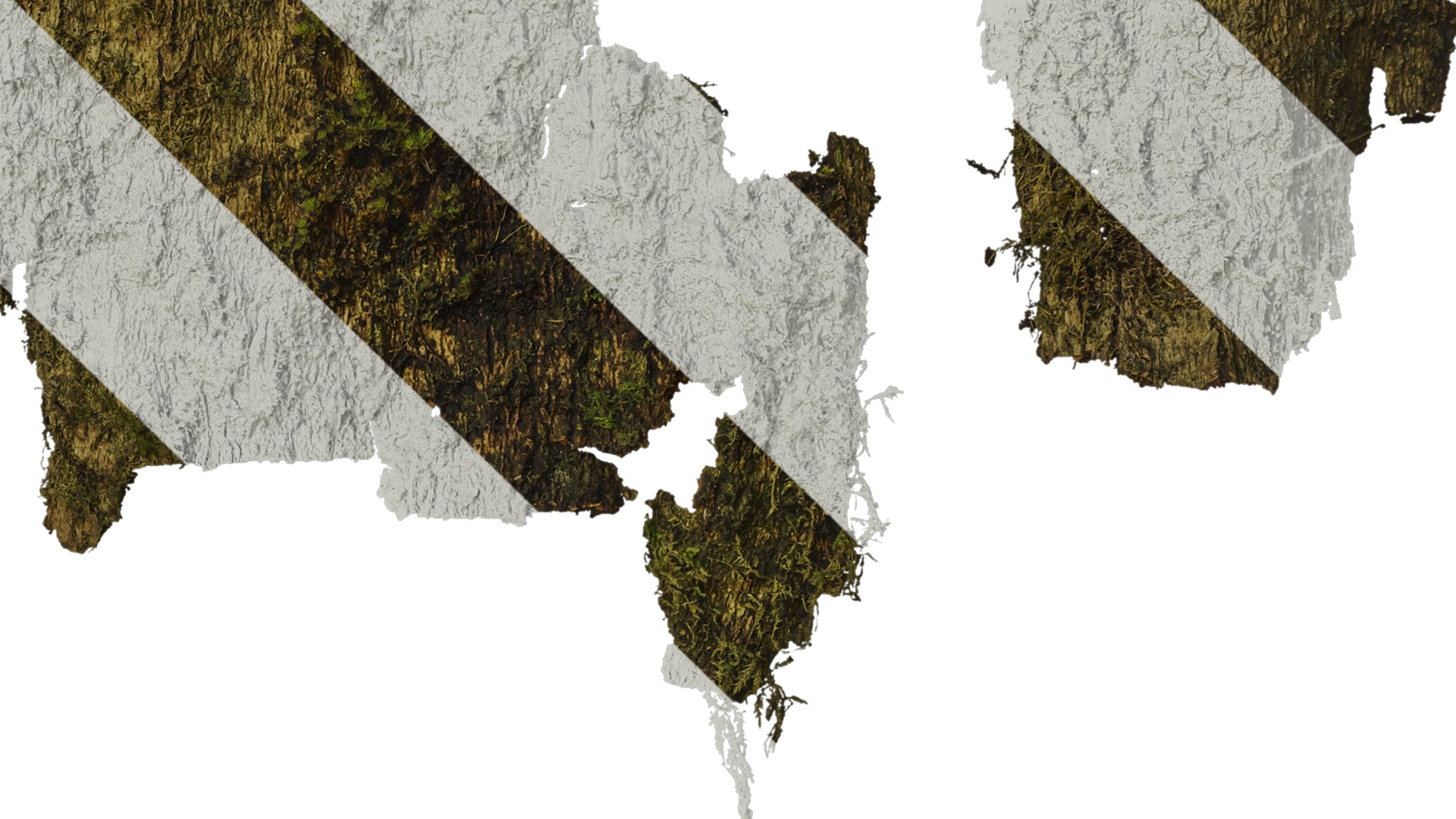 Anydrafts Bark 06 Texture_4