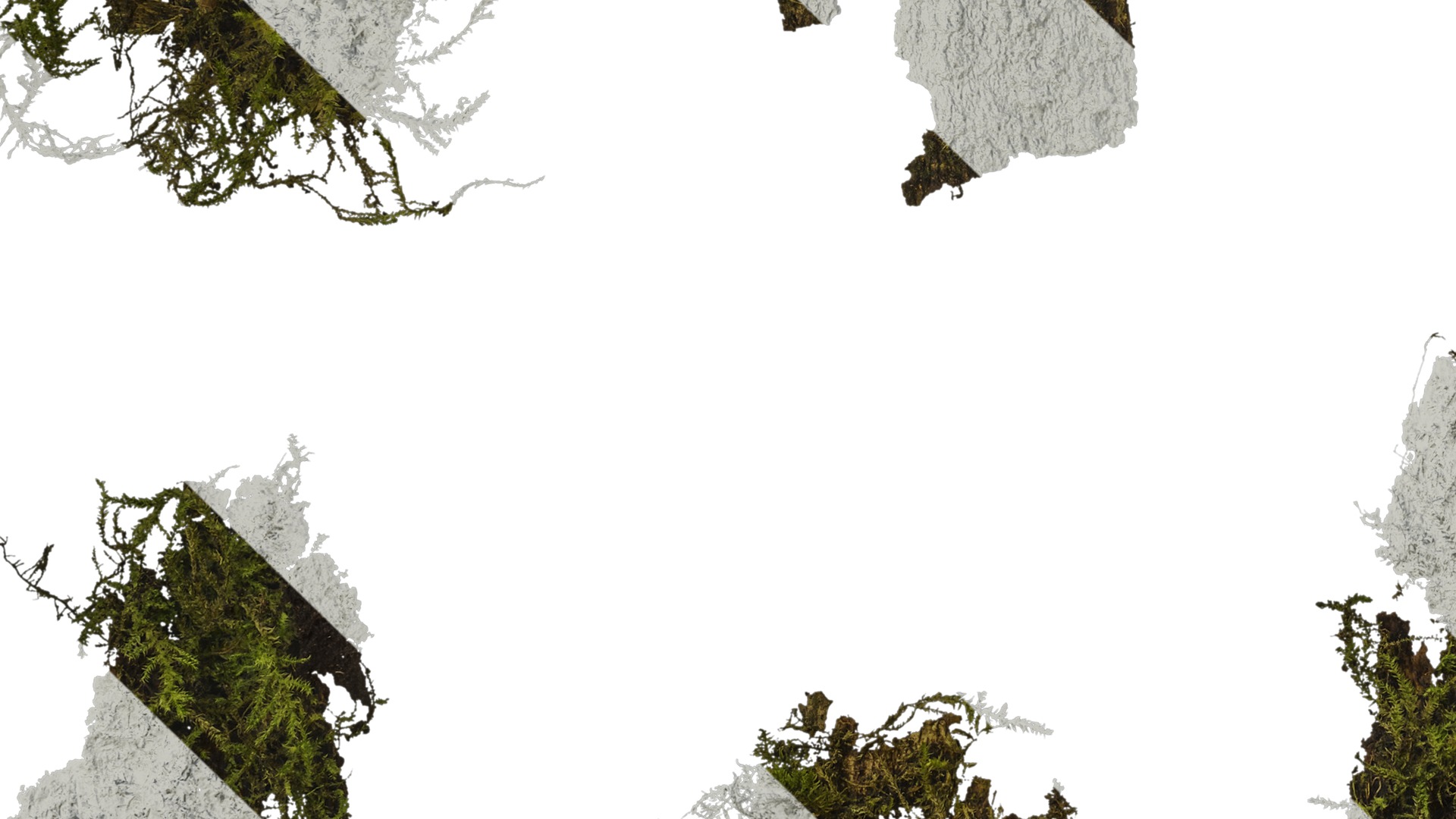 Anydrafts Bark 06 Texture_5