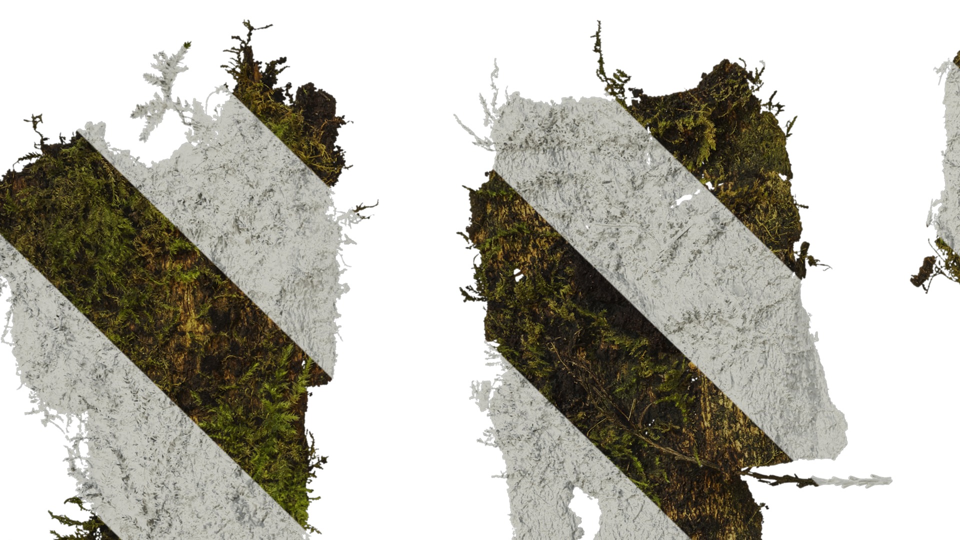 Anydrafts Bark 06 Texture_3