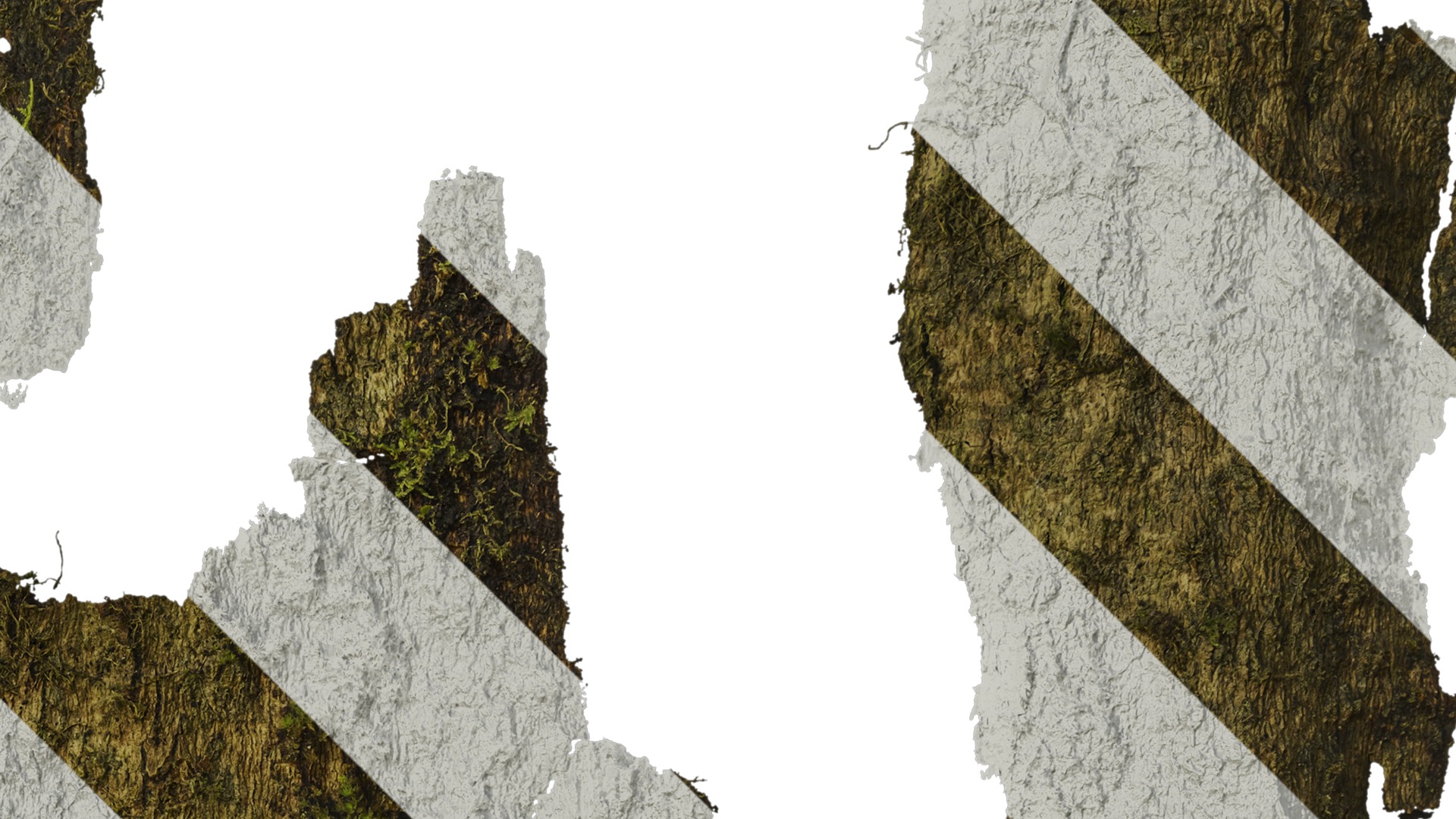 Anydrafts Bark 06 Texture_2