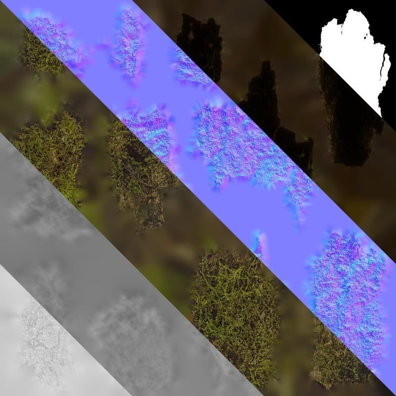 Anydrafts Bark 06 Texture_8