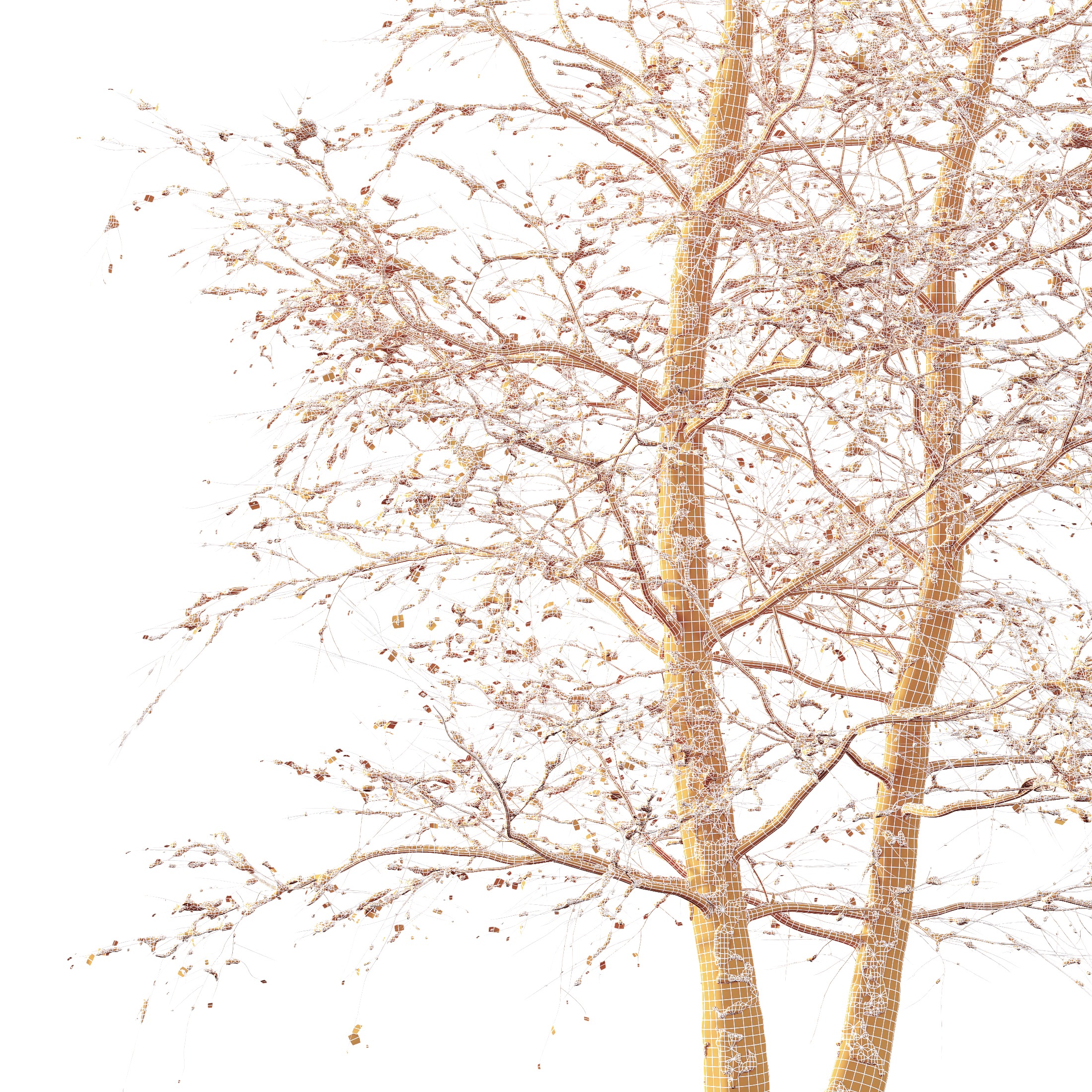AV Plants Alnus Glutinosa Winter Snow Tree 3D model_5