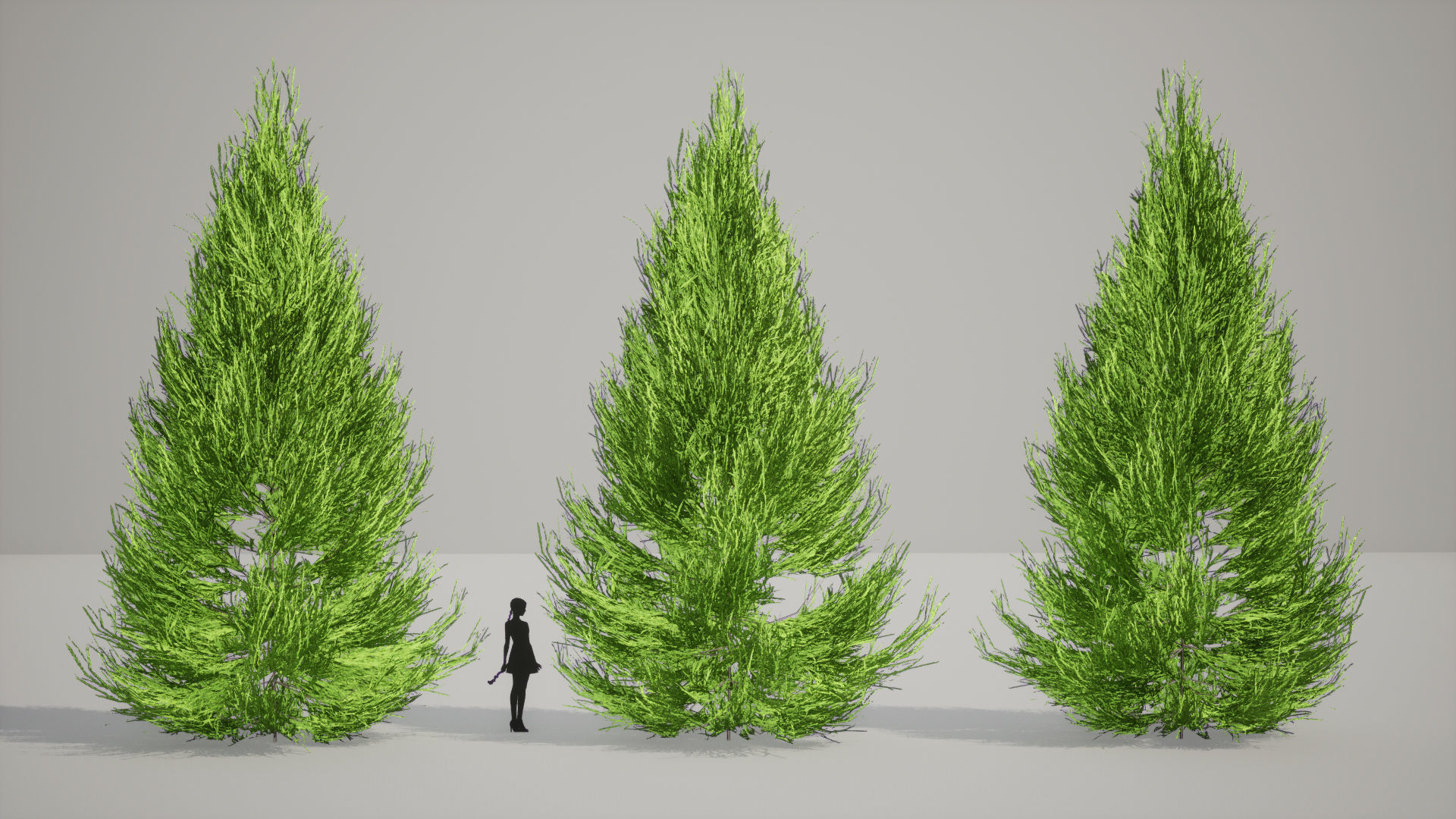 Japanese Endemic Species Plant - 4 Japanese Yoshino cedar Tree Low-poly 3D model_6