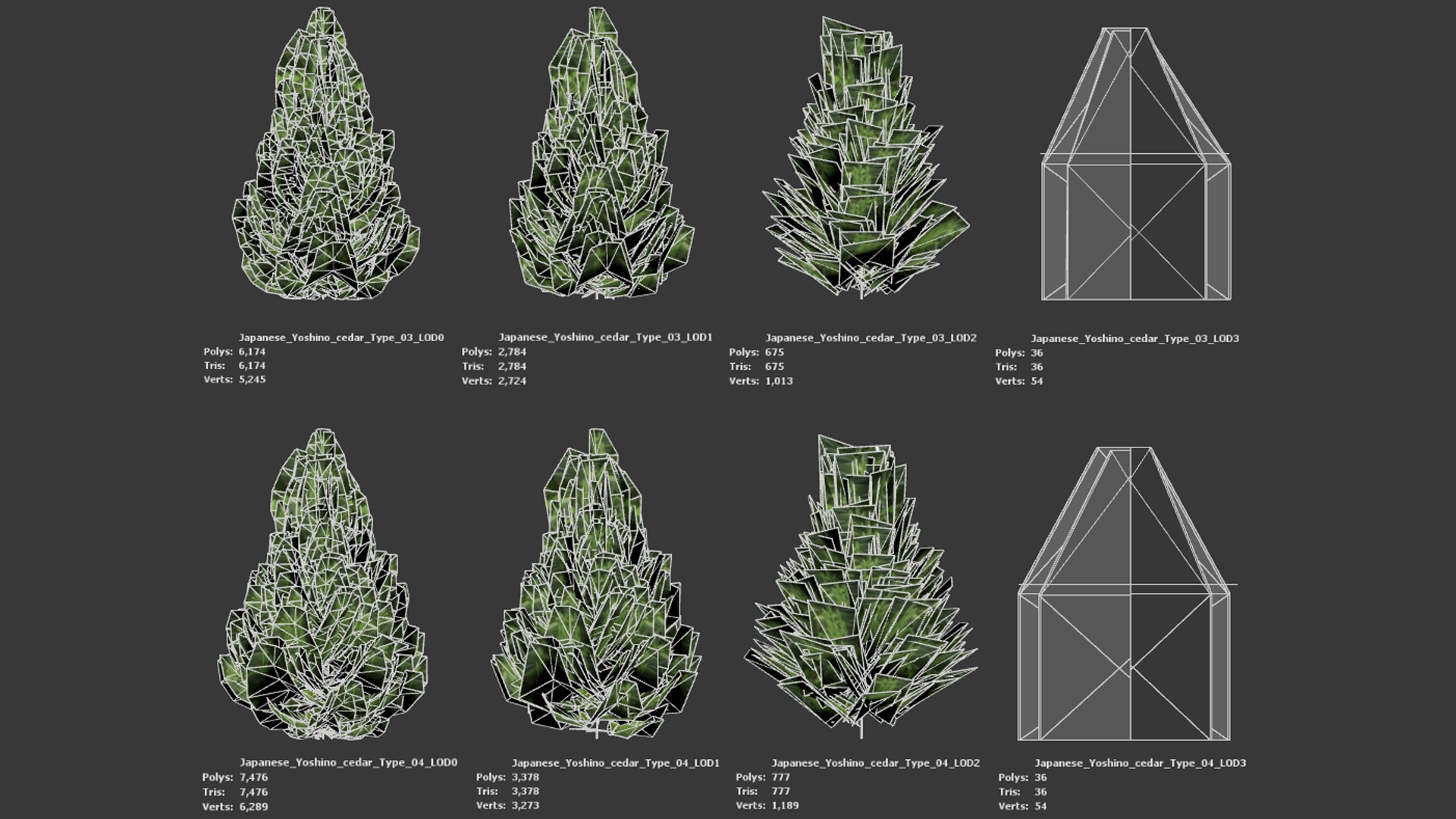 Japanese Endemic Species Plant - 4 Japanese Yoshino cedar Tree Low-poly 3D model_9