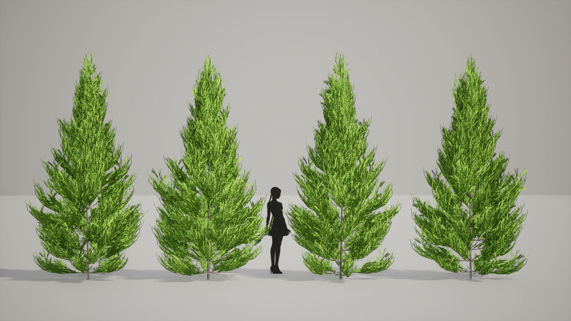 Japanese Endemic Species Plant - 4 Japanese Yoshino cedar Tree Low-poly 3D model_4