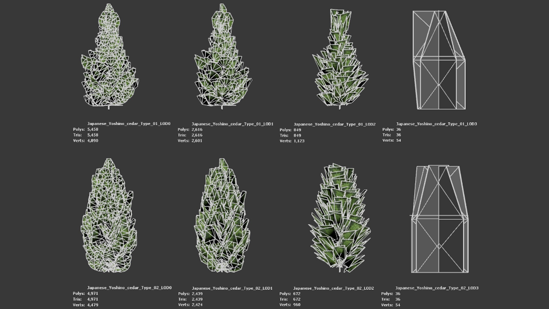 Japanese Endemic Species Plant - 4 Japanese Yoshino cedar Tree Low-poly 3D model_8