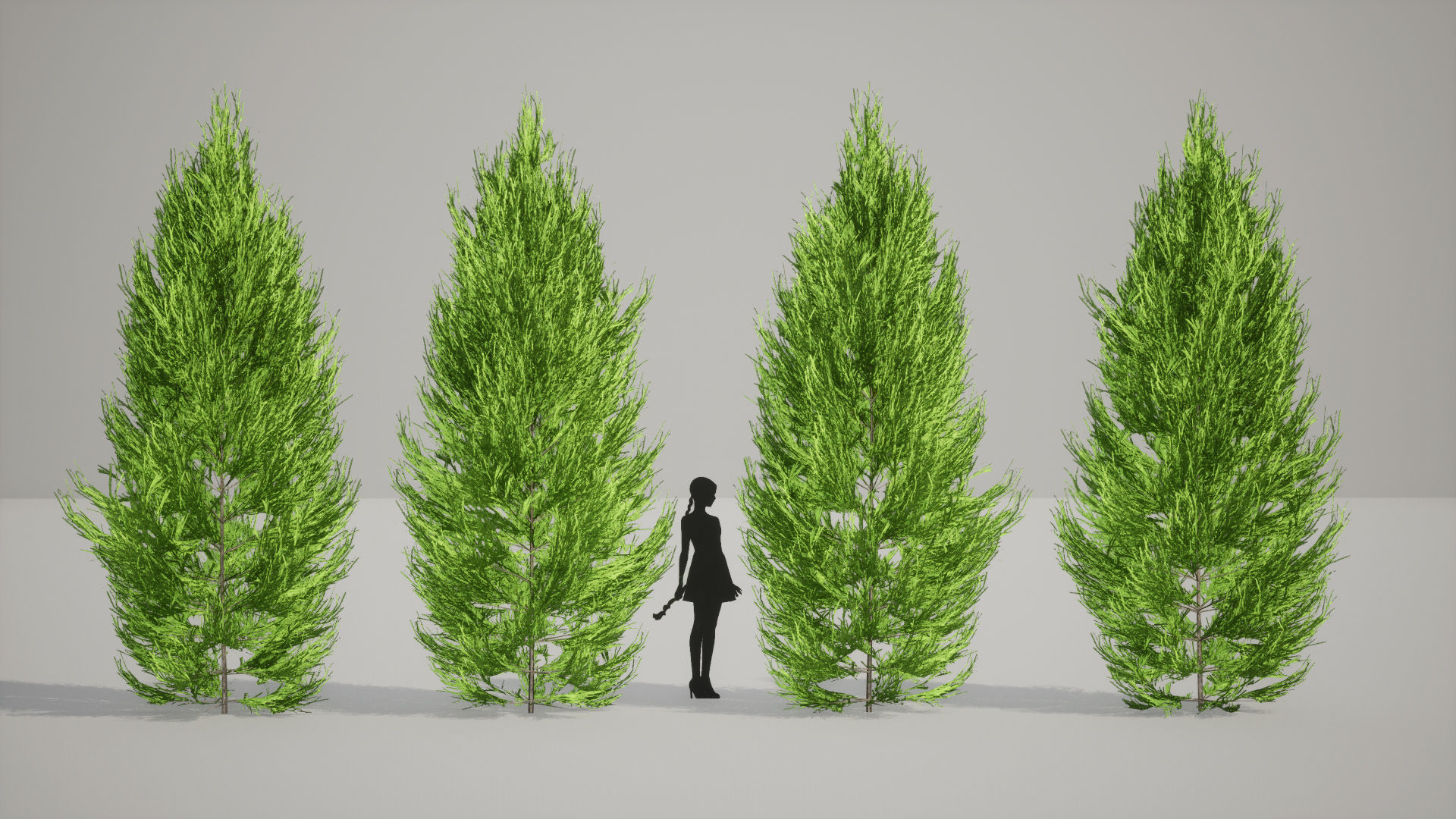 Japanese Endemic Species Plant - 4 Japanese Yoshino cedar Tree Low-poly 3D model_5