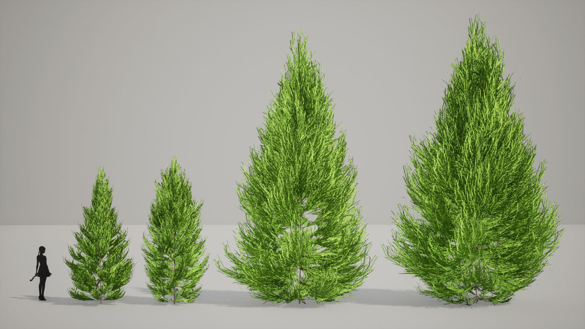 Japanese Endemic Species Plant - 4 Japanese Yoshino cedar Tree Low-poly 3D model_3