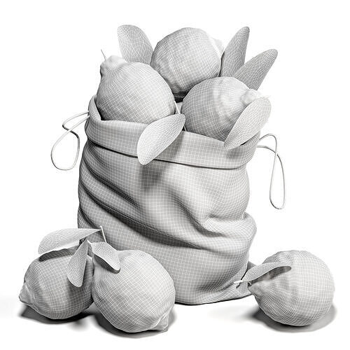 lemon pack 3D model 6