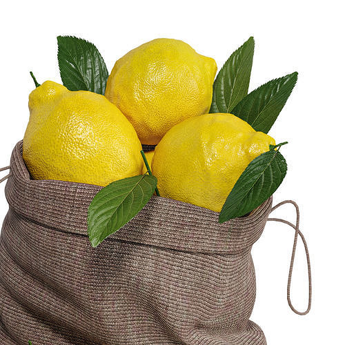 lemon pack 3D model 3
