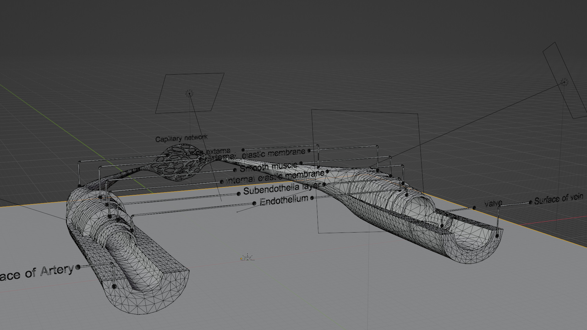 3D Printable Blood Vessels Model - Fully Textured for Education 3D print model_7