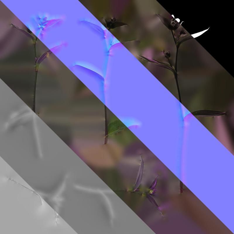 Anydrafts Tradescantia nanouk Atlas 11 Texture_8