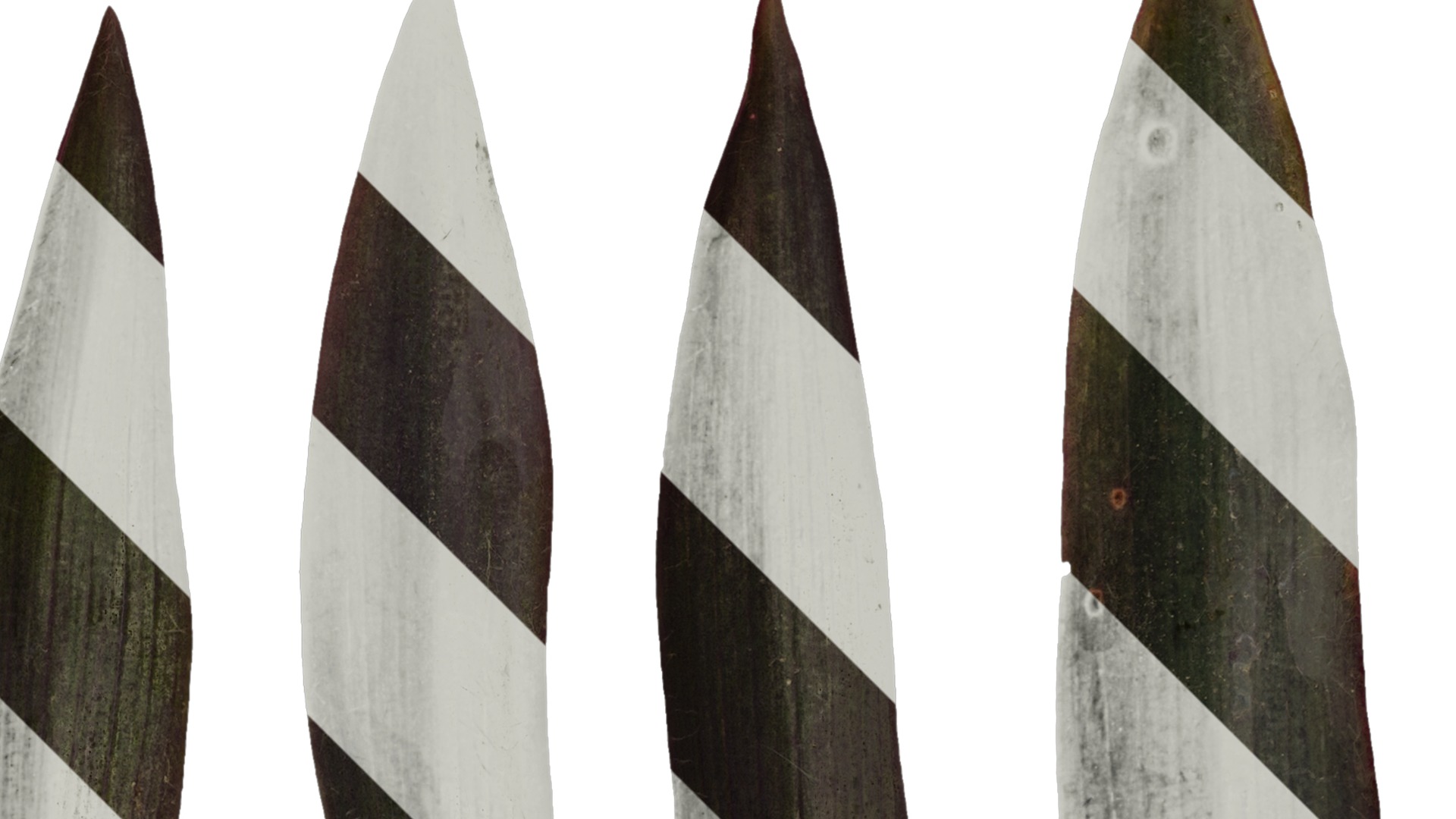 Anydrafts Tradescantia pallida Leaf 01 F Texture_2