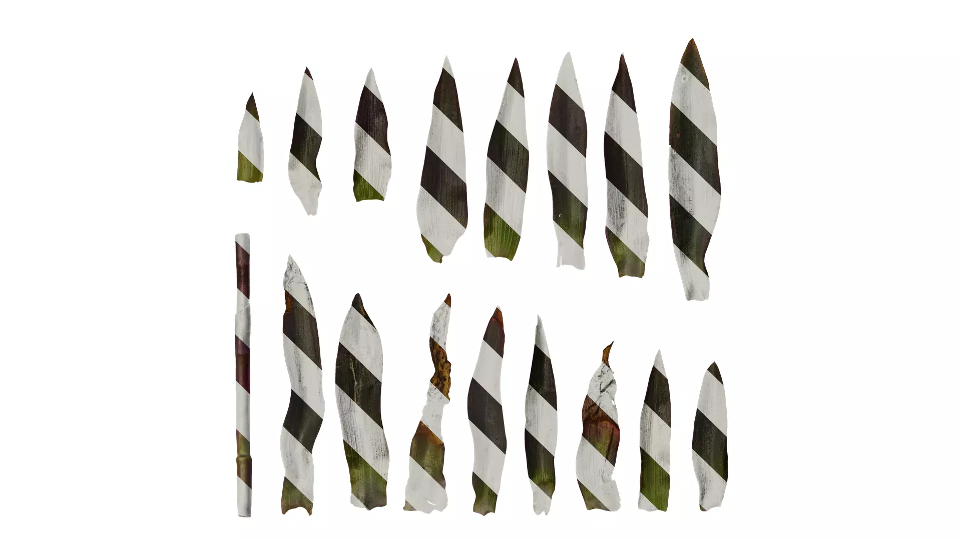 Anydrafts Tradescantia pallida Leaf 01 F Texture_0