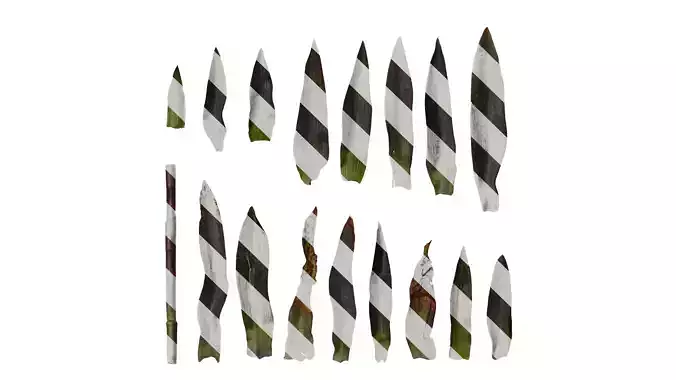 Anydrafts Tradescantia pallida Leaf 01 F