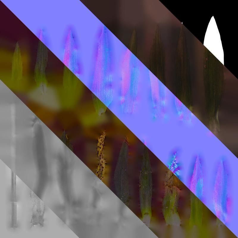 Anydrafts Tradescantia pallida Leaf 01 F Texture_8