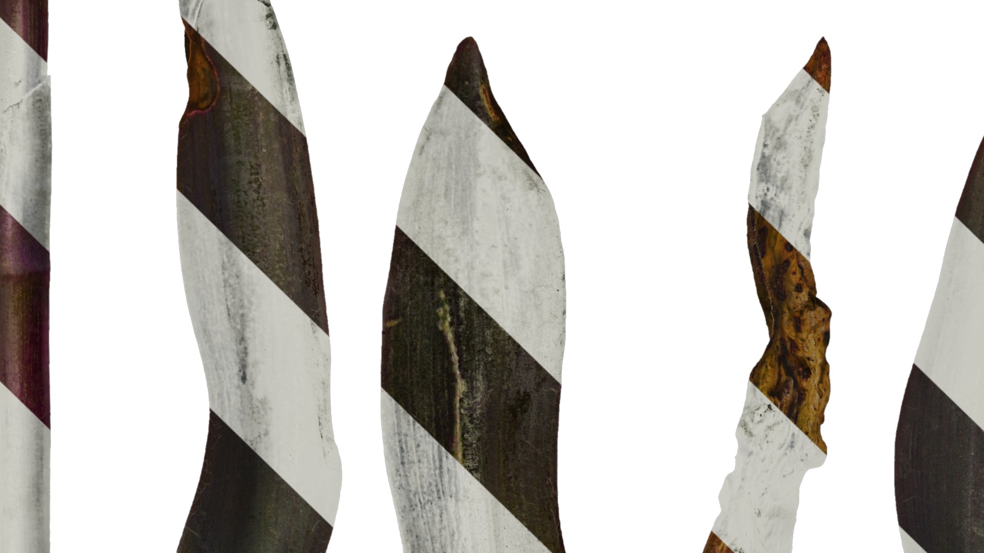 Anydrafts Tradescantia pallida Leaf 01 F Texture_5