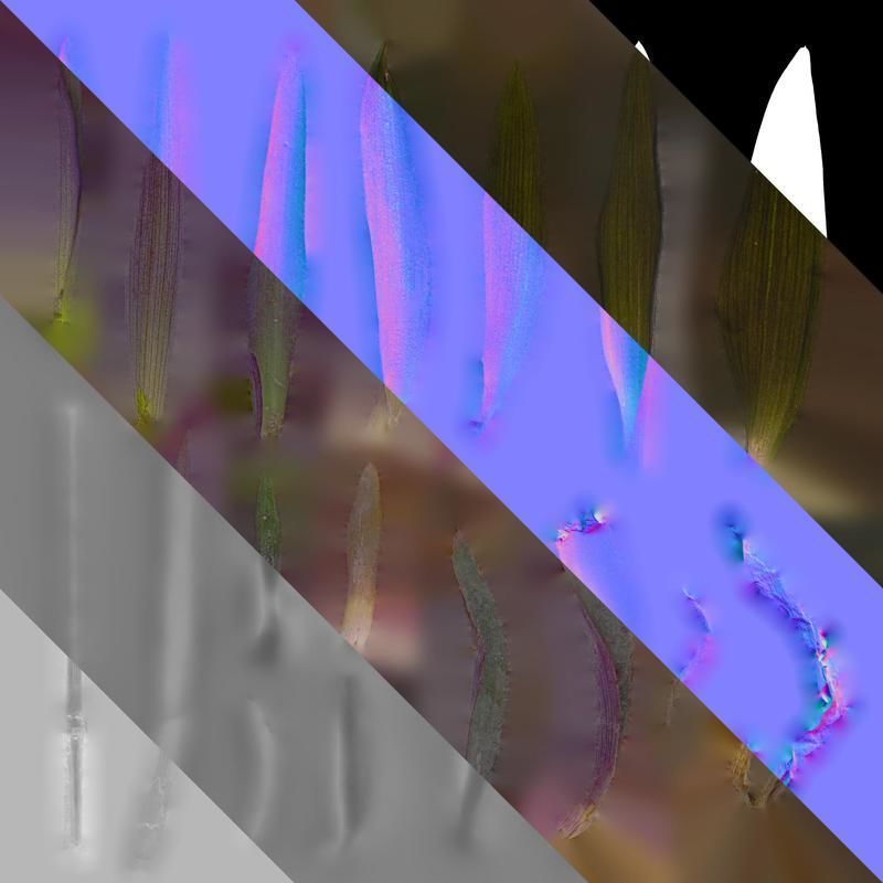 Anydrafts Tradescantia pallida Leaf 02 Texture_8