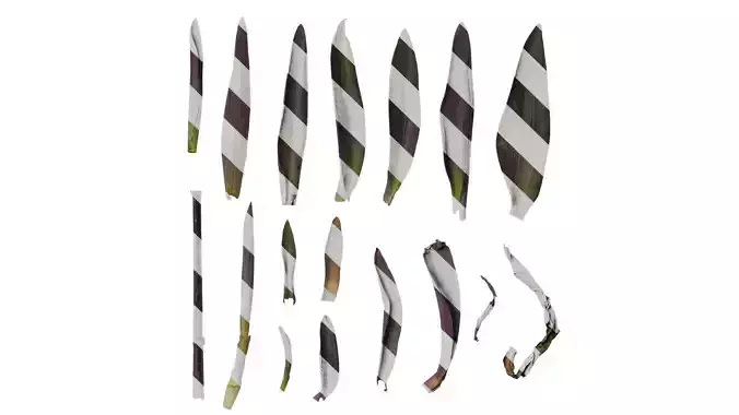 Anydrafts Tradescantia pallida Leaf 02